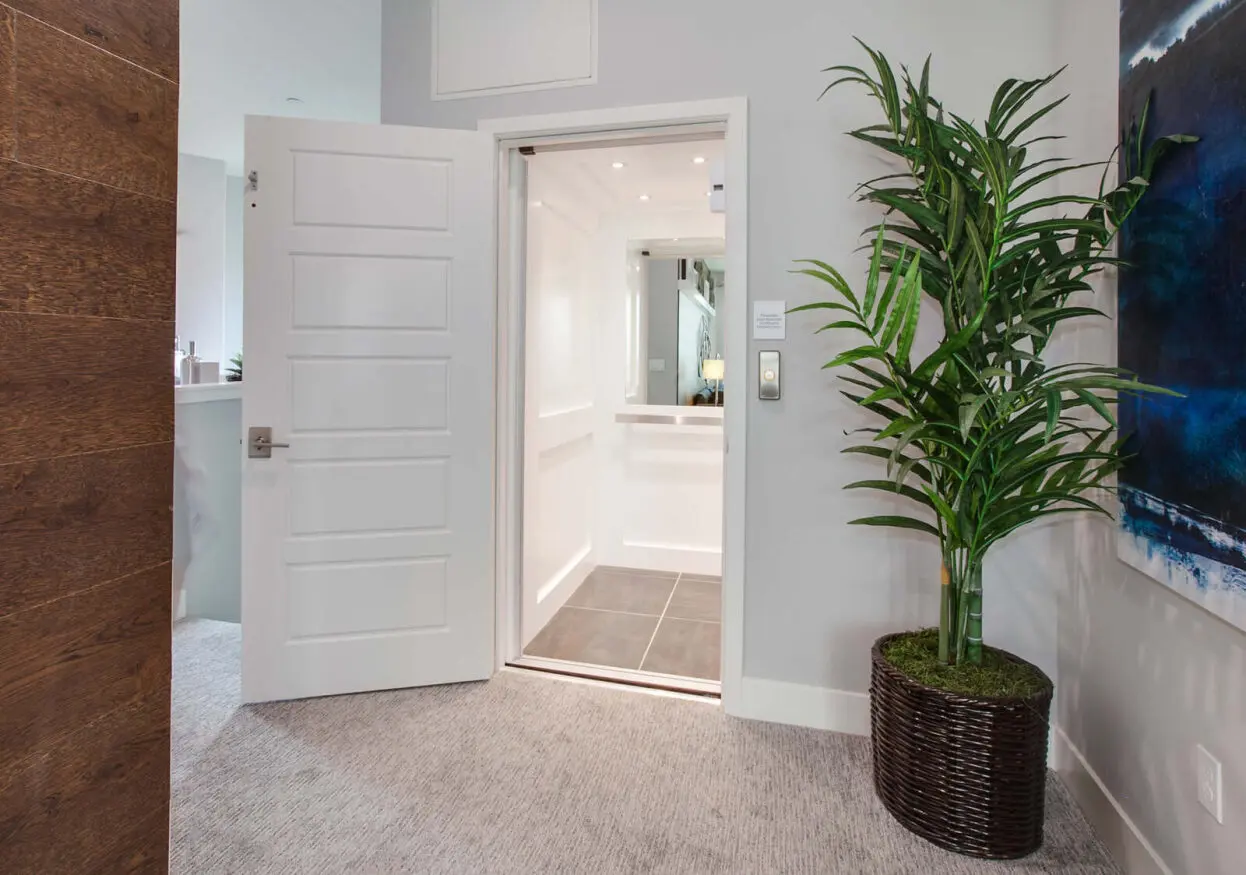 Mirrorwithplant