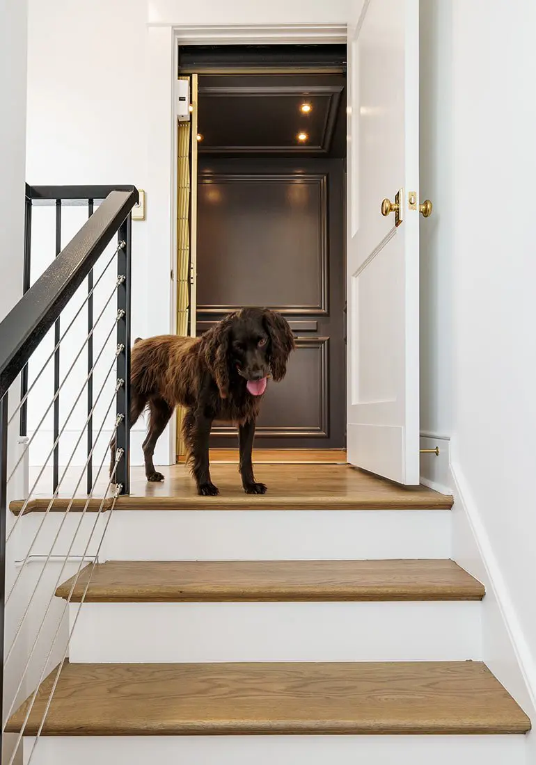 Glass Observation Paneled Cab Residential Elevator